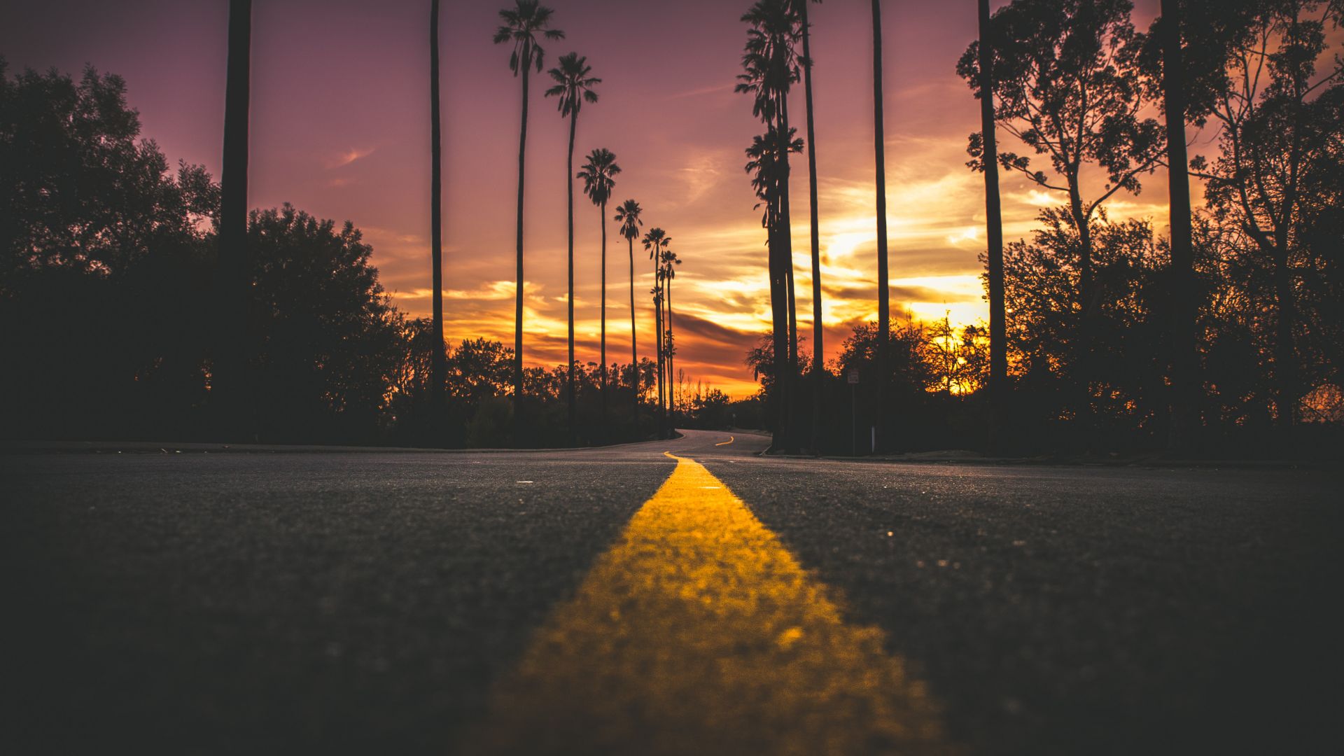 Wallpaper Road in city during sunset