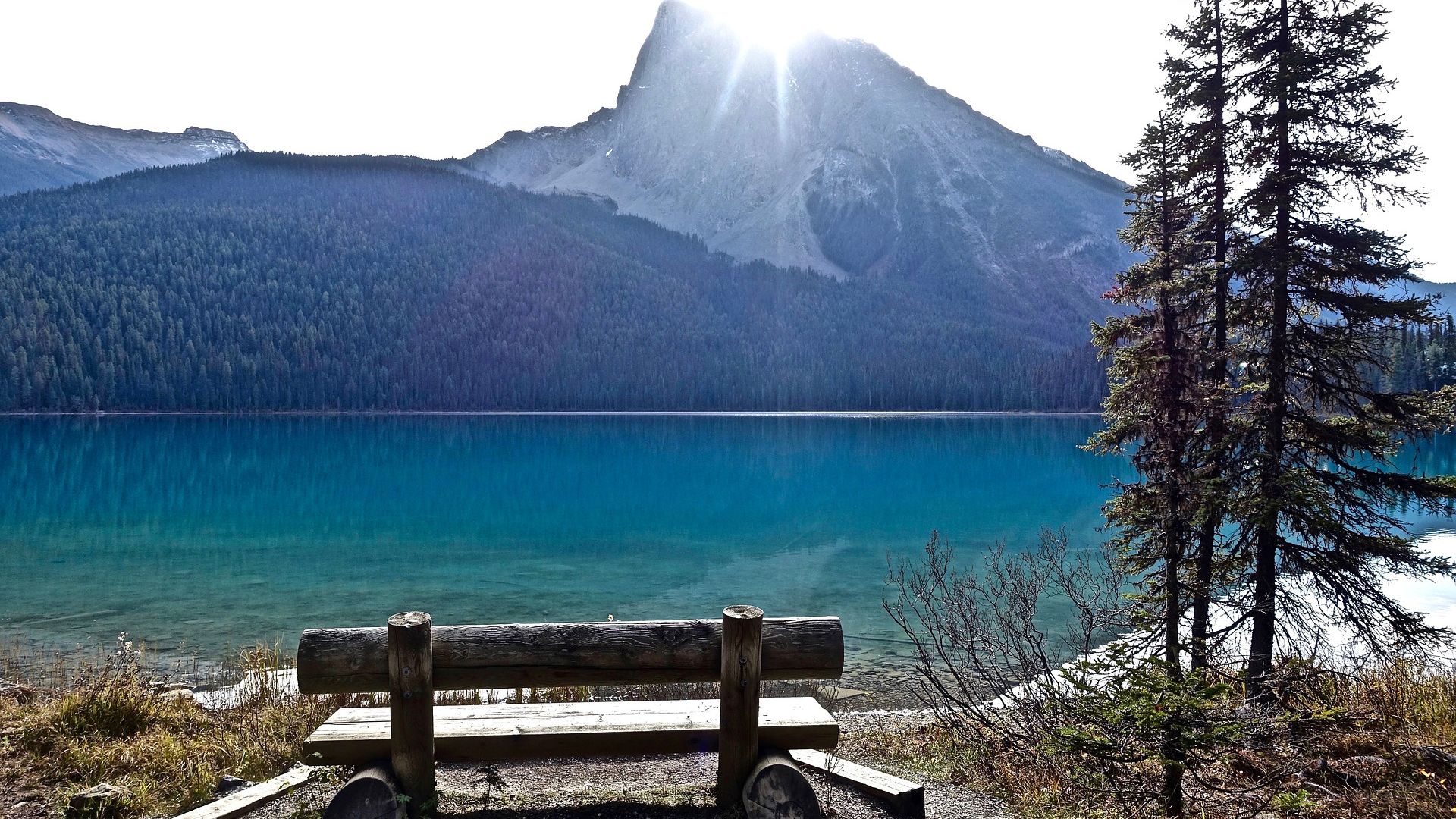 Wallpaper Lake, mountains, bench, tree