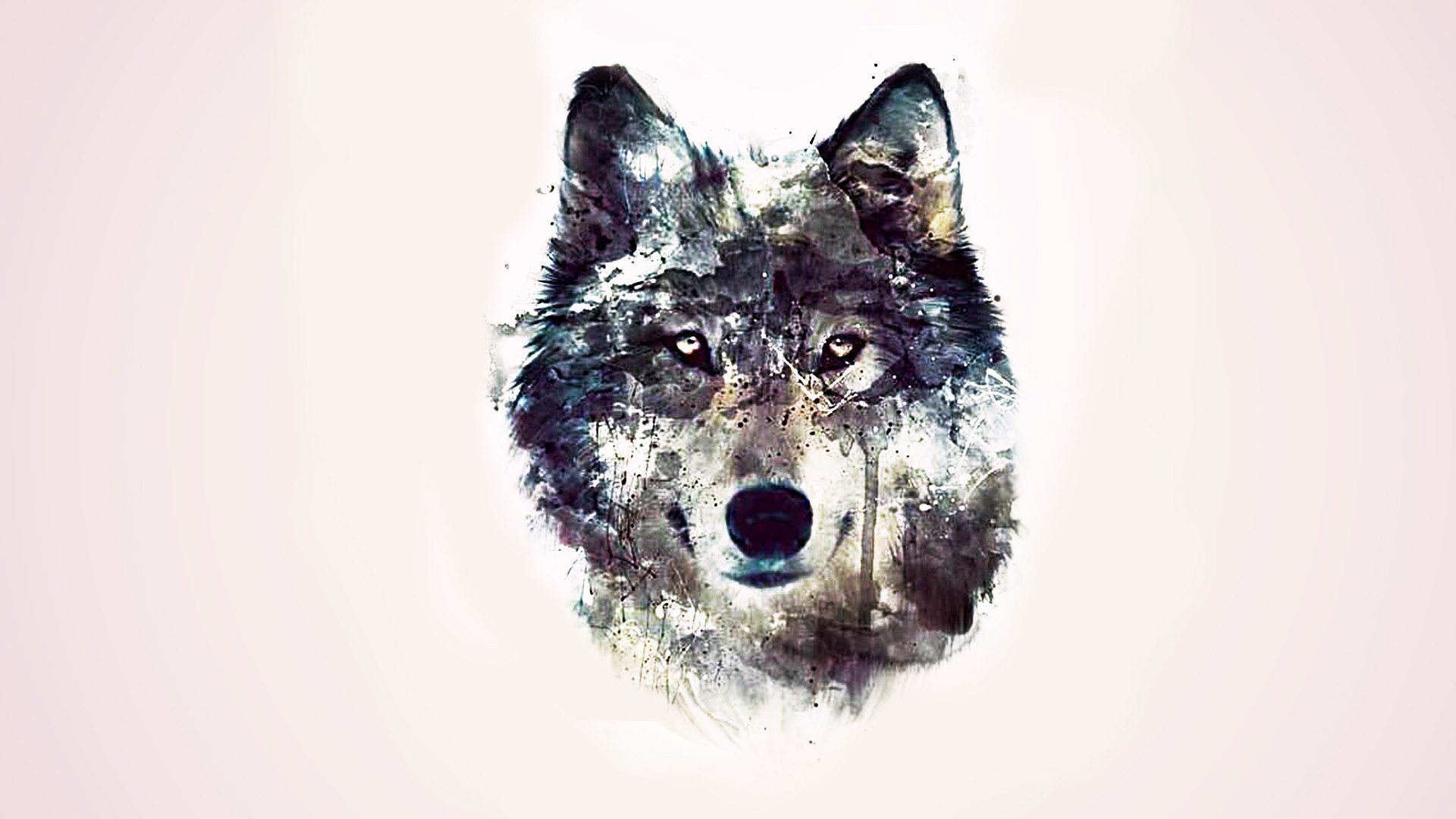 Desktop Wallpaper Wolf Animal Face, Hd Image, Picture, Background, Yapgfj