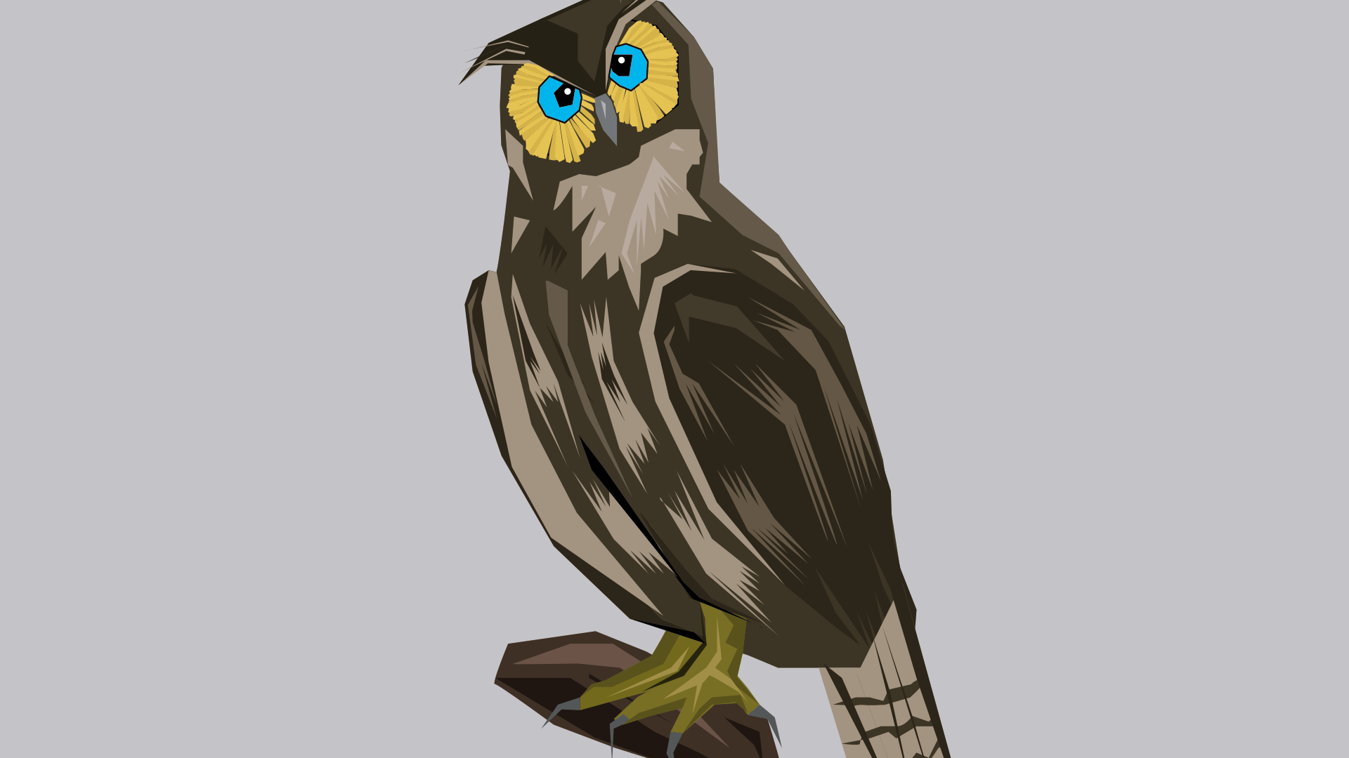 Wallpaper Owl, bird digital art