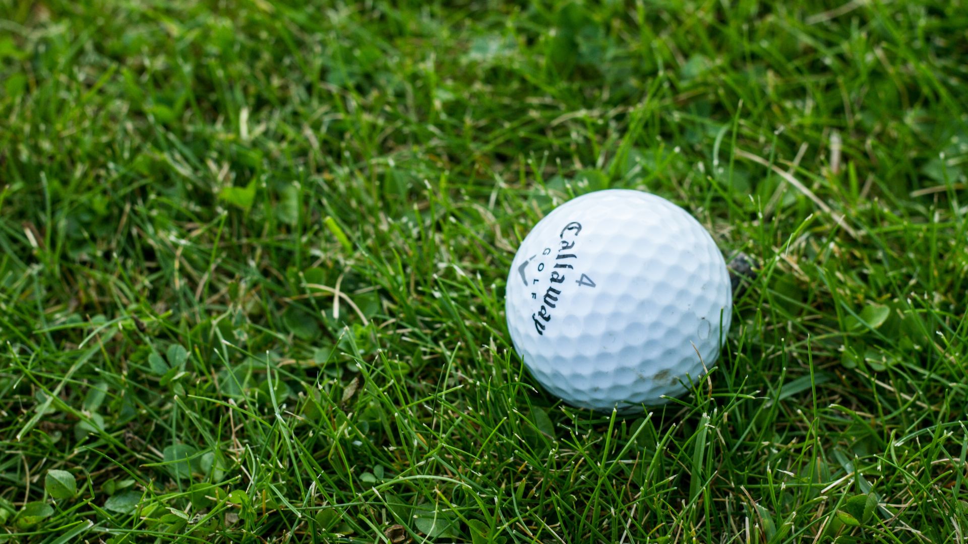 Wallpaper Golf ball in grass field