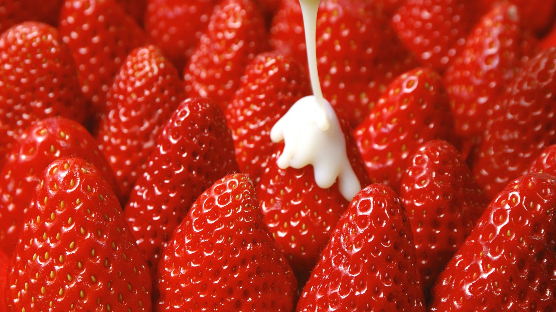 Wallpaper Red strawberries, fruits