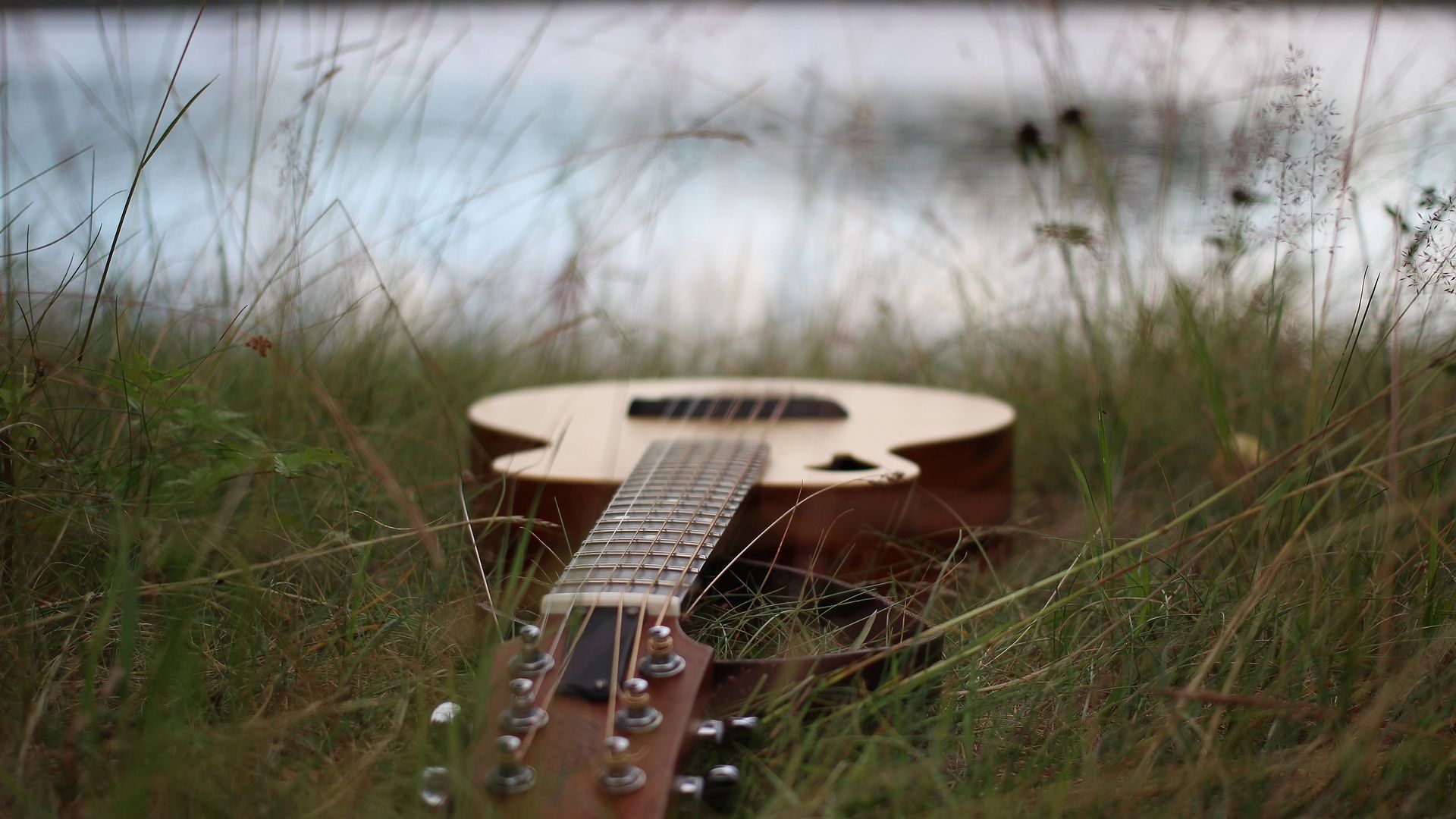 Wallpaper Guitar, music, grass, meadow