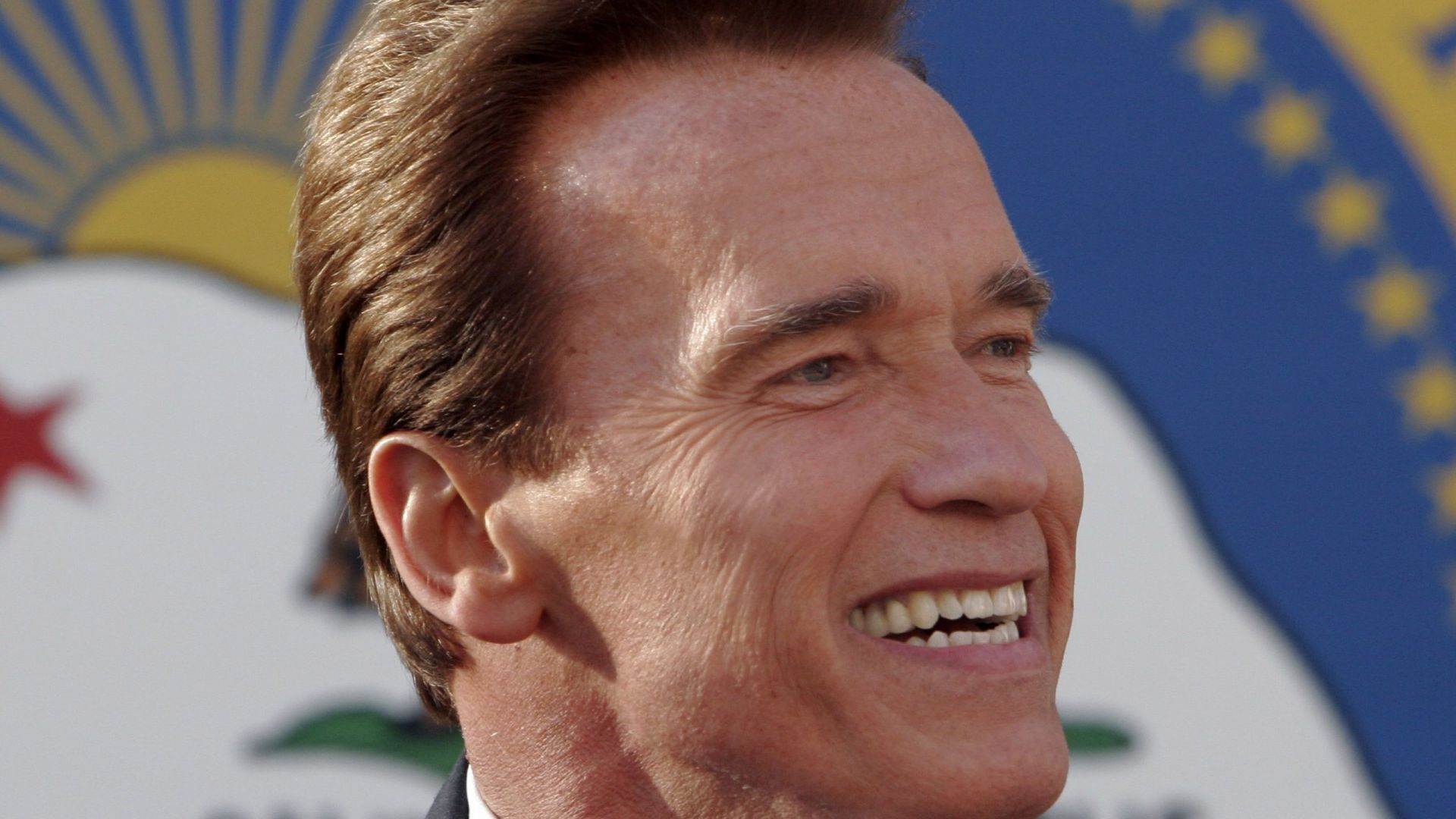 Wallpaper Arnold Schwarzenegger, American actor, politician, celebrity