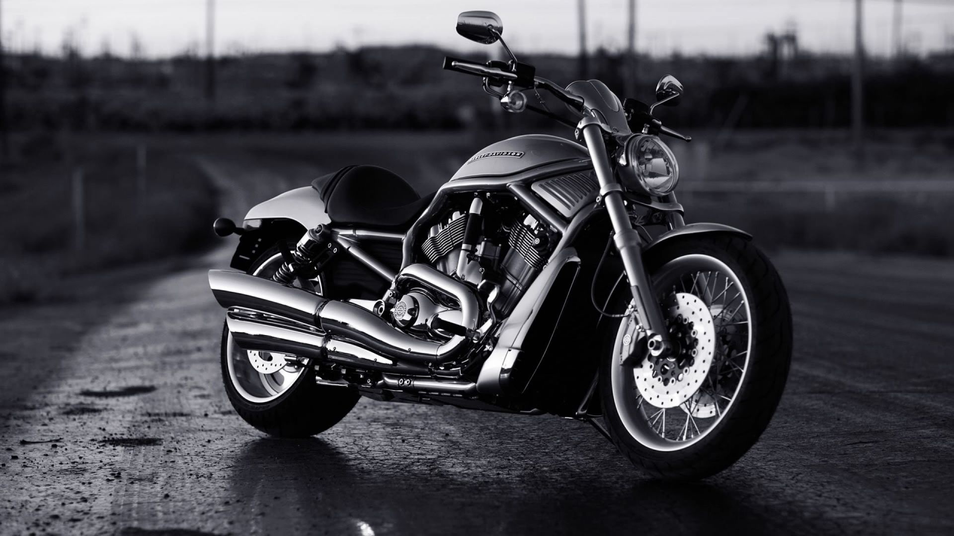 Wallpaper Harley Davidson motorcycle, monochrome