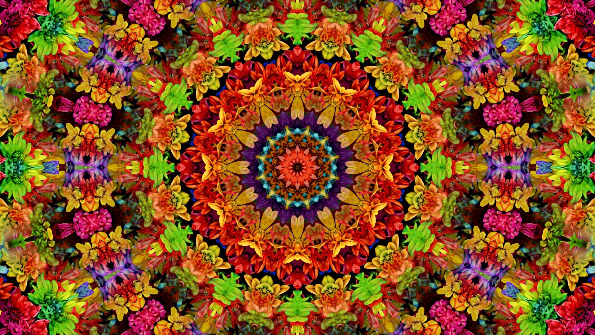 Desktop Wallpaper Fractal, Mandala, Flowers Pattern, Colorful, Hd Image,  Picture, Background, Z1kwq2