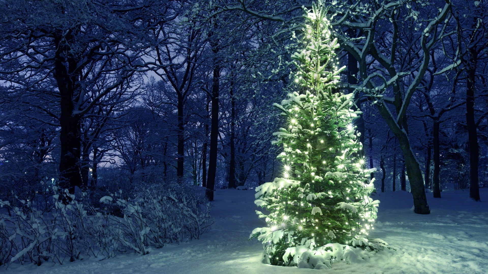 Wallpaper Glowing Christmas tree