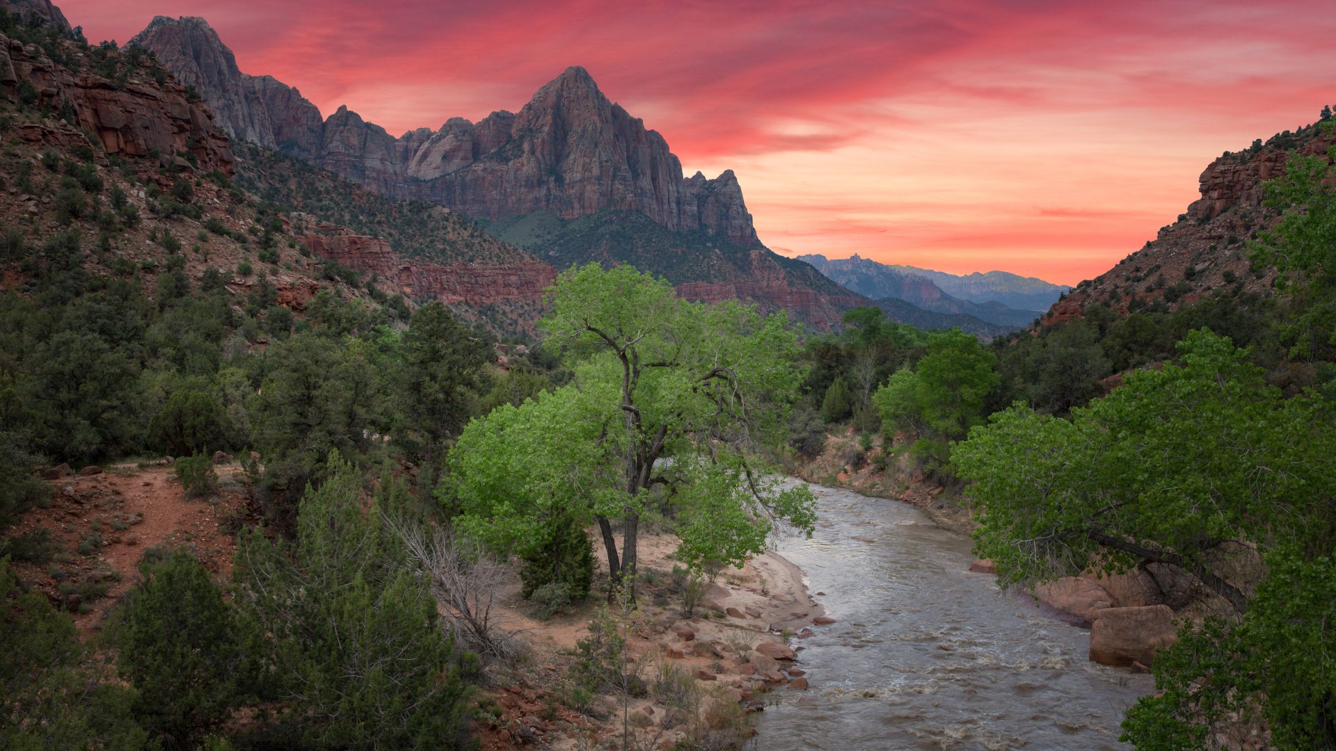 Wallpaper Zion National Park Mountains Nature  Best Free pictures
