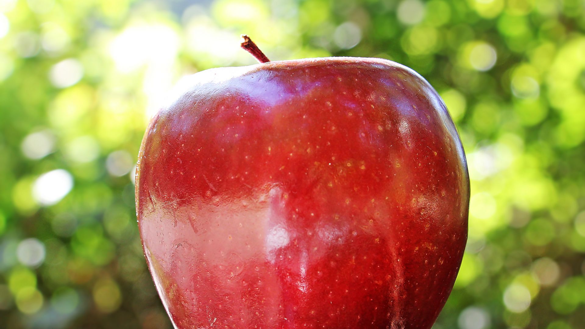 Wallpaper Apple fruit close up