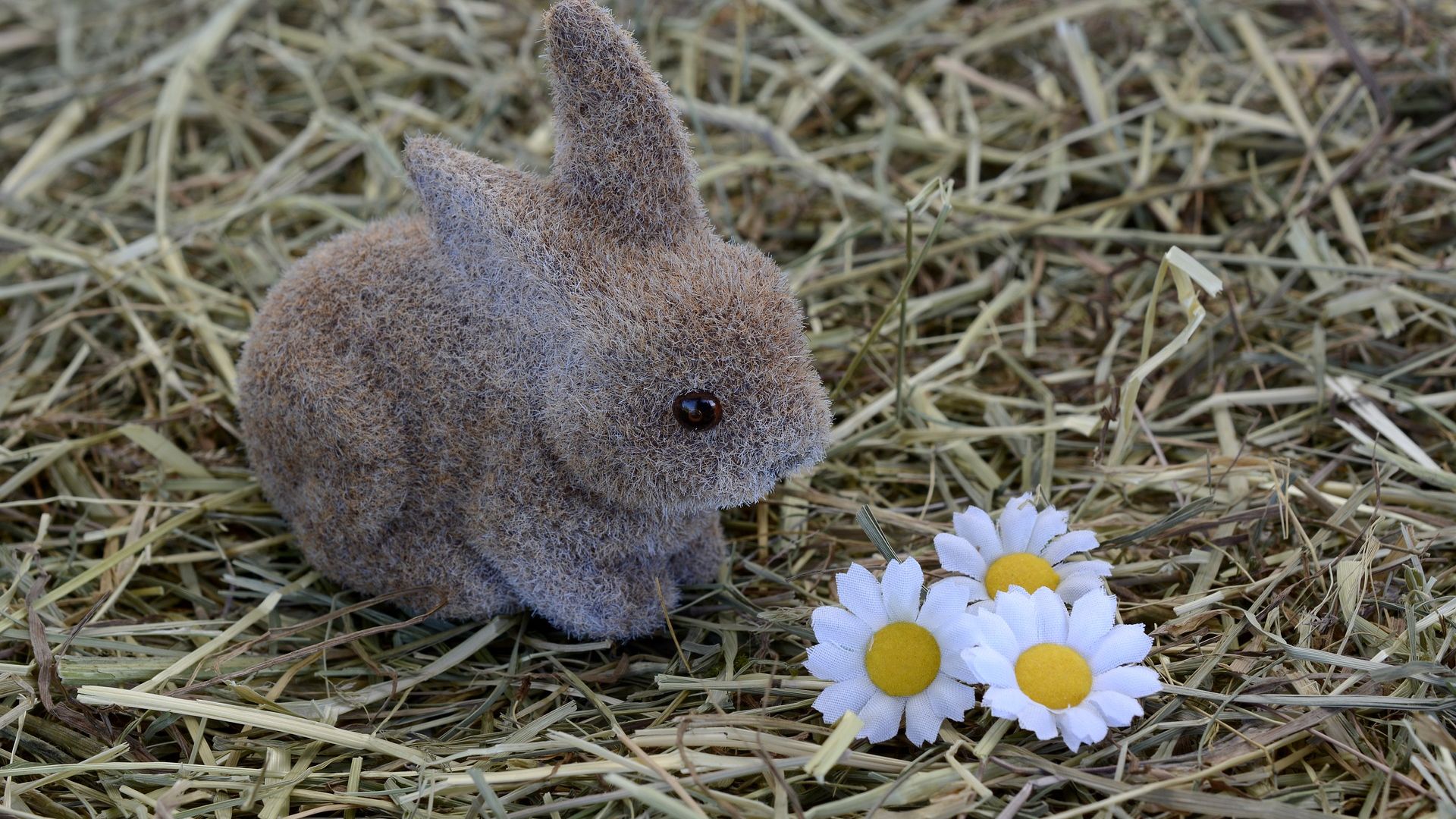 Wallpaper Bunny, hare, toy, Easter, hay, flower, grass
