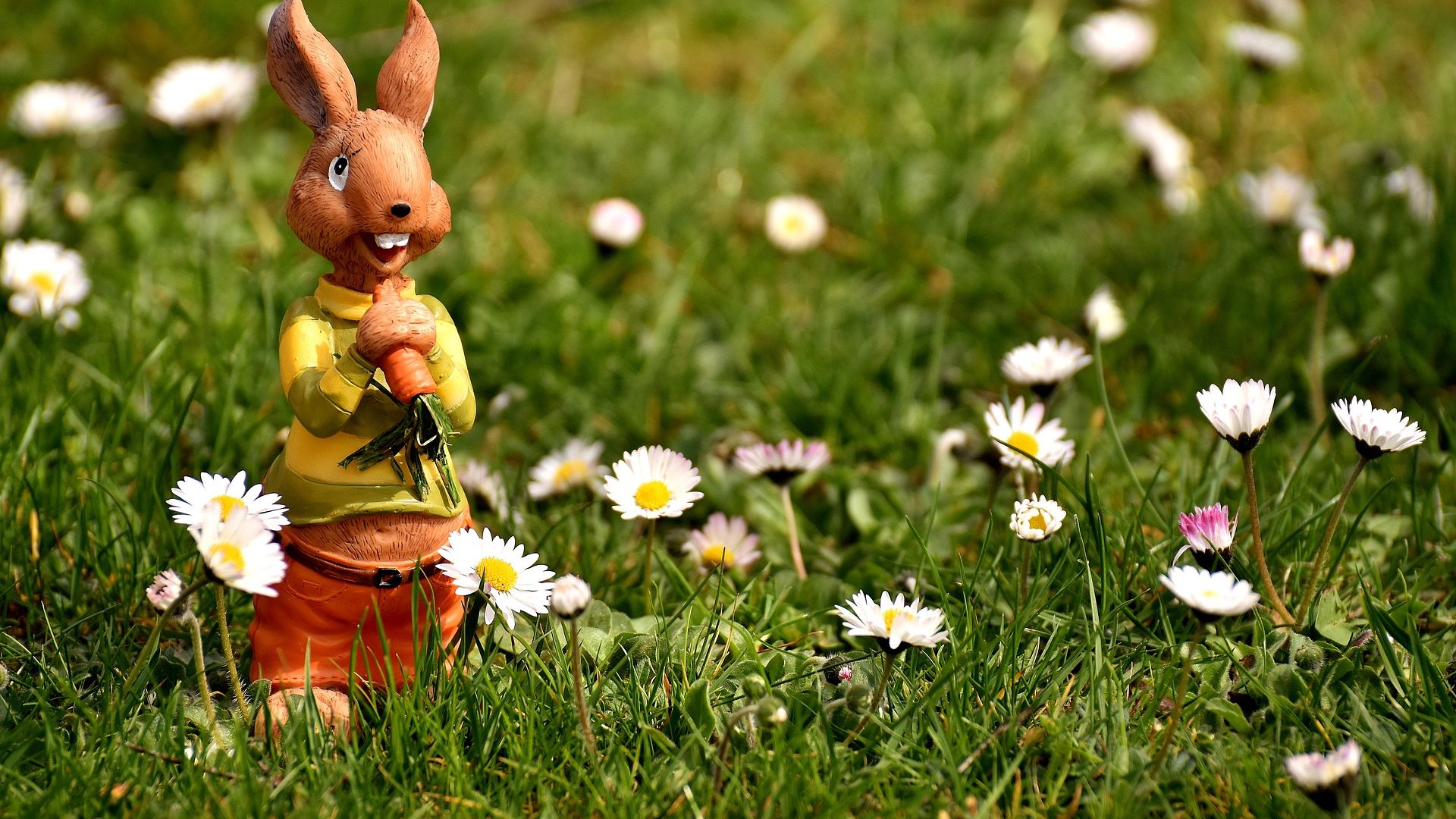 Wallpaper Hare, bunny toy, Easter, flowers, meadow