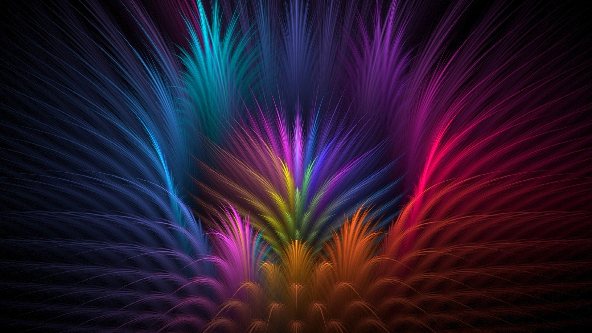 Wallpaper Feathers colorful petals