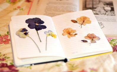 Pressed flowers in book