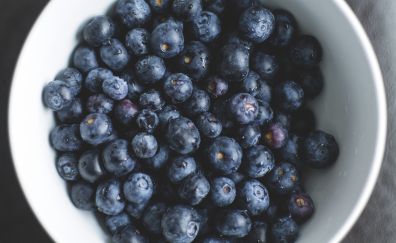 Blue berries in dish