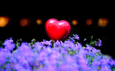 Red, heart, figure, purple flowers, decorations