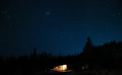 Starry night, hut, dark, tree, sky, 4k