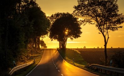 Road, landscape, sunset, tree, 4k