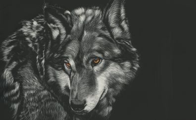 Wolf, painting, artwork, muzzle, 4k