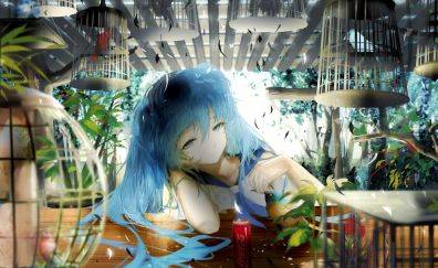 Hangover, anime girl, hatsune miku, birds cage