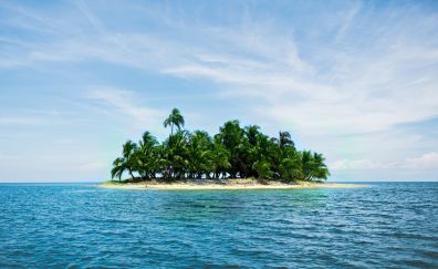 Caribbean island, holiday, summer, sea, palm tree