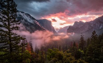 Misty yosemite valley, nature, mountains, national park