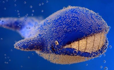 Whale, toy, fish, underwater, bubbles