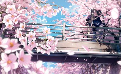Cherry blossom, anime, couple, kiss, 4k