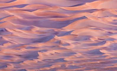 Desert sands, dunes, sunset, nature