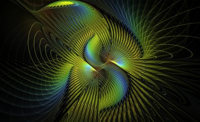 Fractal patterns feathers lines