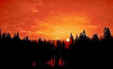 Far Cry 5, sunset, orange sky, silhouette