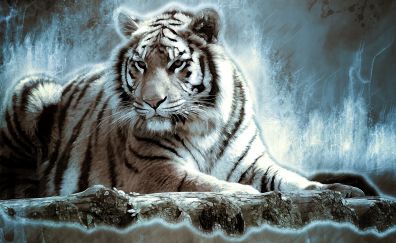 Tiger, predator, art