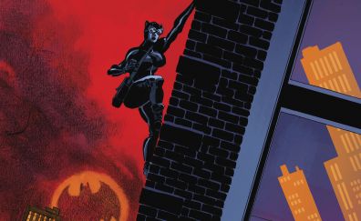 Catwoman, climb, dc comics