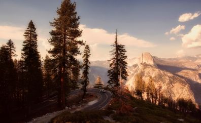 Yosemite national park, road, trees, mountains