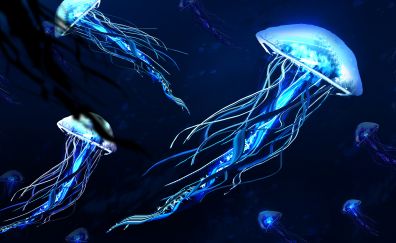 Jellyfishes, digital art, 4k