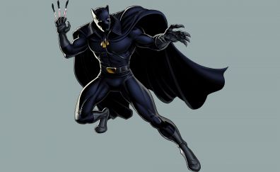 Black panther fictional superhero