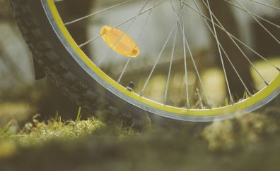 Wheel, bicycle, moss, close up