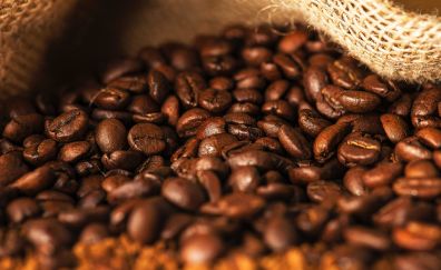 Brown coffee beans, roasted