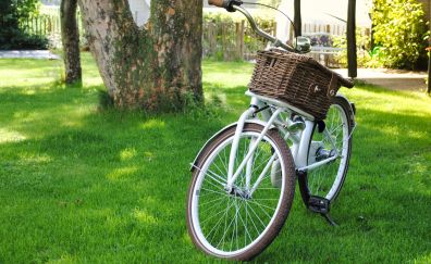 White bike, grass, basket