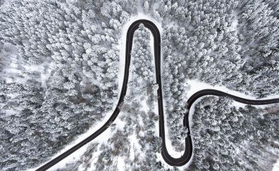 Winter, tree, forest, curvy road, aerial view