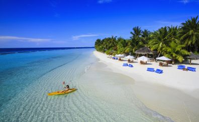 Tropical beach, resort, palm tree, sea, blue sky