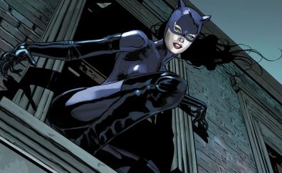 Catwoman, superhero, dc comics