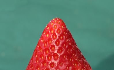 Strawberry fruit, close up