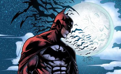 Comics, hero of dc, Batman