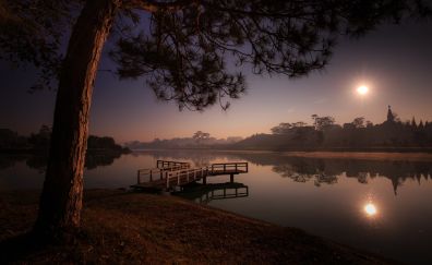 Tree, lake, reflections, sunset, 5k
