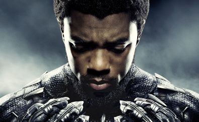 Black panther, movie, Chadwick Boseman, 2018 movie, superhero, 5k