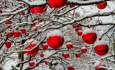 Christmas decorations, red balls, Christmas, holiday, 5k