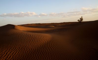 Desert, sand, sky, nature, 4k