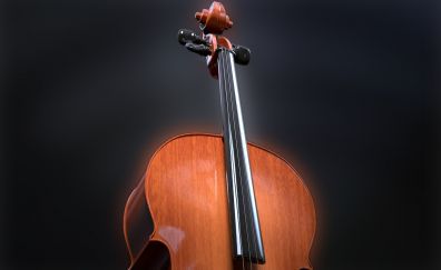 Violin, musical instrument, portrait
