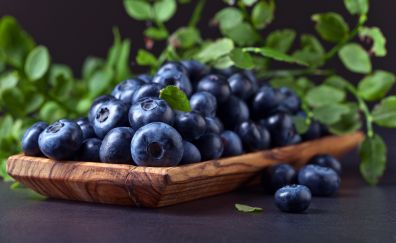 Kitchen, leaves, blueberries, fruits, 4k