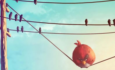 Angry birds, red, birds sitting on wire, funny art